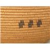 Image 8 : Chemehuevi Basket
