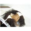 Image 8 : NW Coast Mask