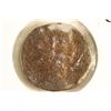 Image 1 : 268-270 A.D. CLAUDIUS II ANCIENT COIN