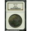 Image 1 : 1881-S[S$1] MS67 NGC.