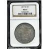 Image 1 : 1891-CC[S$1] MS64 NGC.