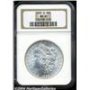 Image 3 : 1902-S[S$1] MS65 NGC.