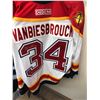 Image 2 : Vanbiesbrouck Florida Panthers #34
