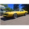 Image 1 : 1976 Pontiac Firebird Formula