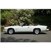 Image 8 : 1994 Jaguar XJS CONVERTIBLE