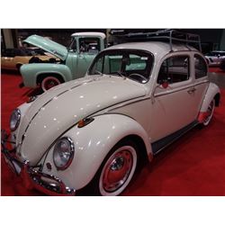 1962 VW BUG