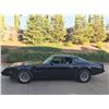 Image 1 : 1979 Pontiac Trans Am