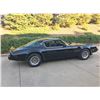 Image 2 : 1979 Pontiac Trans Am