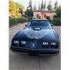 Image 3 : 1979 Pontiac Trans Am