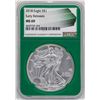 Image 1 : 2018 $1 American Silver Eagle Coin NGC MS69 Early Releases Green Core