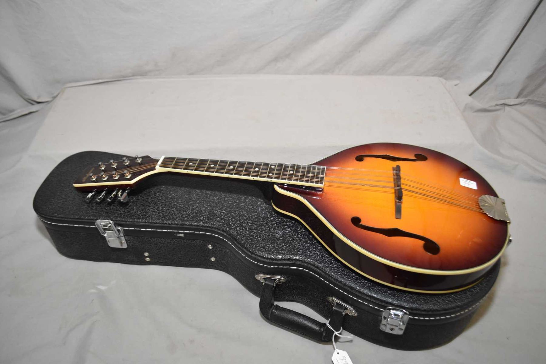 Alabama eight string mandolin in fitted hard case
