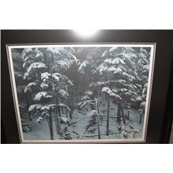 Framed limited print "Descending Shadows-Timber wolves" pencil signed by artist Robert Bateman, 4689