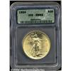 Image 1 : 1924[$20] MS62 ICG.
