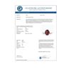 Image 3 : 3.50 CTW Garnet Designer Inspired Solitaire Ring 18K White Gold - REF-36H2A - 22063