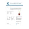 Image 2 : 3.70 CTW Ruby & Diamond Pendant 14K Yellow Gold - REF-56F5N - 14101