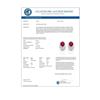 Image 3 : 2.50 Ruby & Micro Pave VS/SI Diamond Stud Earrings 10K White Gold - REF-25A6X - 22336