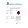 Image 2 : 9.25 CTW Ruby & Diamond Necklace 14K White Gold - REF-312W2F - 14082