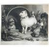Image 1 : Sir Edwin Landseer,RA (1802-1873)Alexander and Diogenes, signed lower right "E Landseer", published.