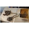 Image 4 : LONG CHAIN