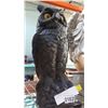 Image 2 : GARDEN OWL DECORATION