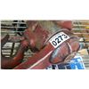 Image 2 : CHAIN COME ALONG 1-1/2 TON