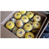 Image 4 : BOX OF MEDIUM RESPIRATOR MASKS 2 BOXES OF FILTERS AND RESPIRATOR PARTS