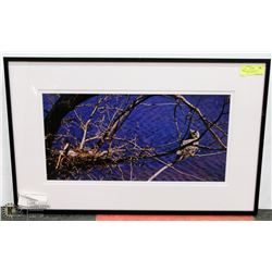 19X30 "ABOVE THE WATERS" PHOTOGRAPHY PRINT BY