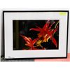 Image 1 : 28X21 BLOOMING FLOWER PHOTOGRAPHY PRINT