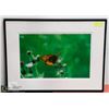 Image 1 : 28X21 BUTTERFLY PHOTOGRAPHY PRINT BY MIKE