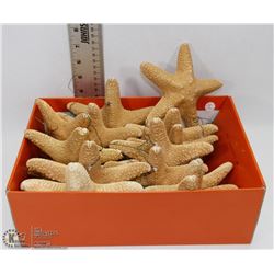 FLAT OF 14 STARFISH