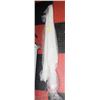 Image 1 : 2 BAGS OF ZIPTIES - 3FT & 4FT.