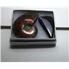 Image 1 : 8)  AMMONITE FOSSIL SPECIMEN