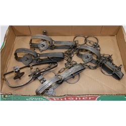 LOT OF 5 ONEIDA VICTOR ANIMAL TRAPS.