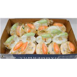 FLAT OF MULTI PURPOSE SCRUBBERS