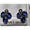 Image 1 : 28) 14KT W. GOLD BLUE SAPPHIRE & DIAMOND EARRINGS