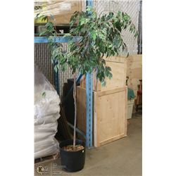 ARTIFICIAL FLOOR PLANT