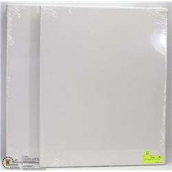 2 NEW DESERRE ART CANVASES