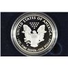 Image 2 : 2013-W PROOF AMERICAN SILVER EAGLE