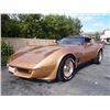 Image 1 : 1982 Chevrolet Corvette T-Top