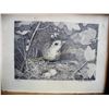 Image 11 : Lot of 16 Vintage Framed Images