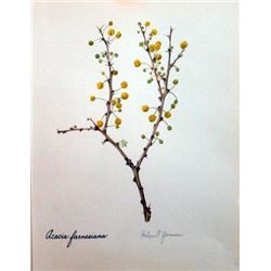 Hand Signed 1961 Litho Helen O'Gorman