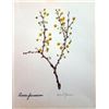 Image 1 : Hand Signed 1961 Litho Helen O'Gorman