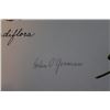 Image 3 : Hand Signed 1961 Litho Helen O'Gorman