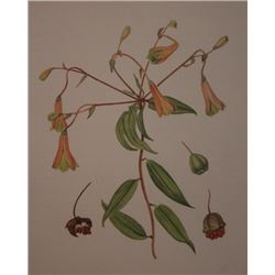 Hand Signed 1961 Litho Helen O'Gorman