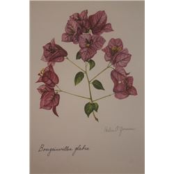 Hand Signed 1961 Litho Helen O'Gorman