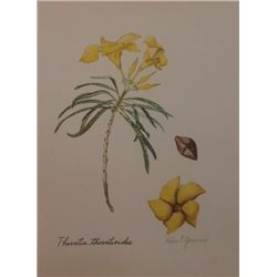 Hand Signed 1961 Litho Helen O'Gorman