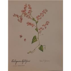 Hand Signed 1961 Litho Helen O'Gorman