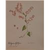 Image 1 : Hand Signed 1961 Litho Helen O'Gorman