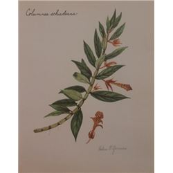Hand Signed 1961 Litho Helen O'Gorman