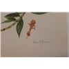 Image 3 : Hand Signed 1961 Litho Helen O'Gorman
